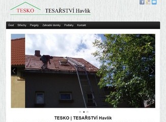 tesko-havlik