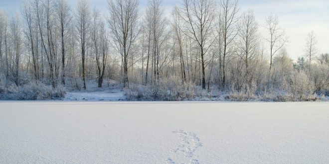 Jak to vypadá na Sibiři? Dnes je to nehostinné prostředí, to se ale může za pár let změnit